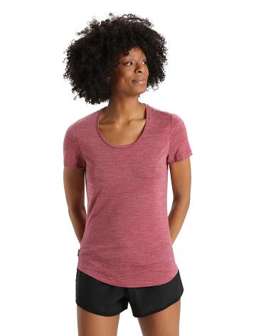 Women's Icebreaker Merino Sphere II Short Sleeve Scoop T Shirts Cherry Heather | CA 1362YXFU